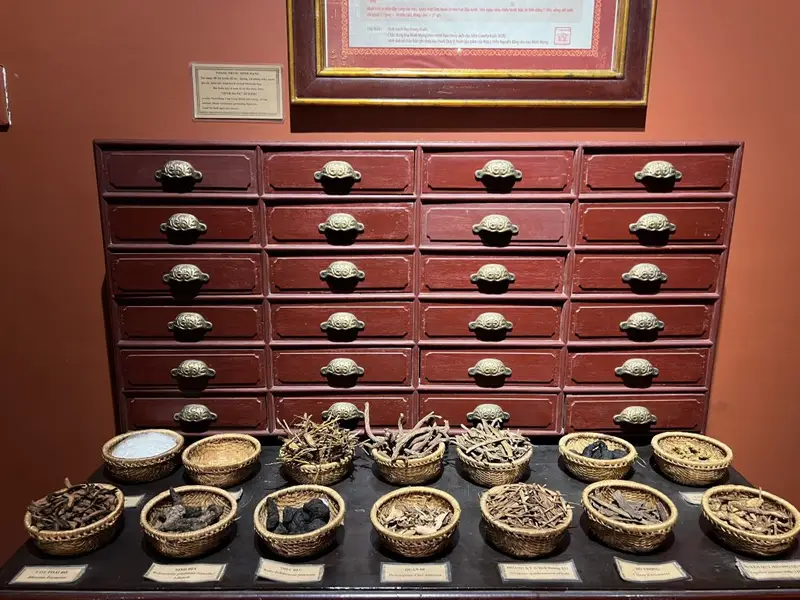 "Objets anciens de la médecine vietnamienne exposés dans une maison en bois traditionnelle à Ho Chi Minh-Ville