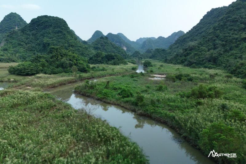 Thung Nham- territoire des milliers d’oiseaux à Ninh BInh