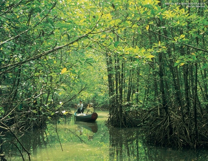 top 11 reserves mondiales biosphere vietnam can gio