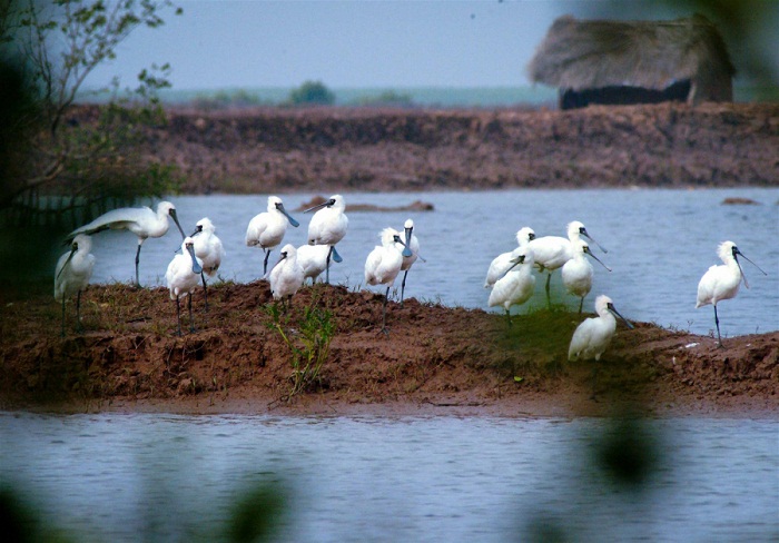 top 11 reserves mondiales biosphere vietnam delta fleuve rouge
