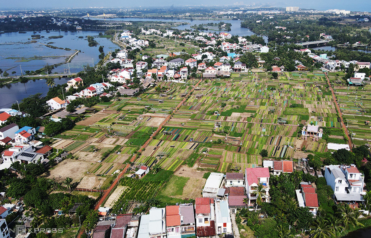 Après avoir examiné plus de 260 candidatures provenant de 60 pays, l’UNWTO a salué le village de légumes Trà Quế comme un modèle exemplaire.