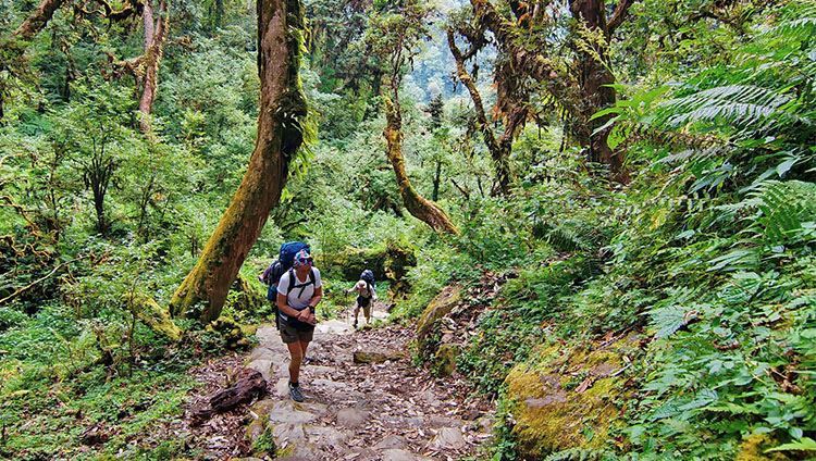 Trekking à Lang Biang : Conquérir le toit de Ðà Lat