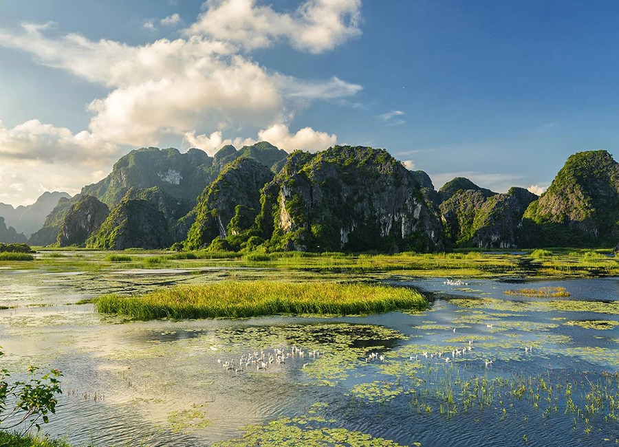 reserve naturelle de Van Long, lagoon de Van Long, Ninh Binh 