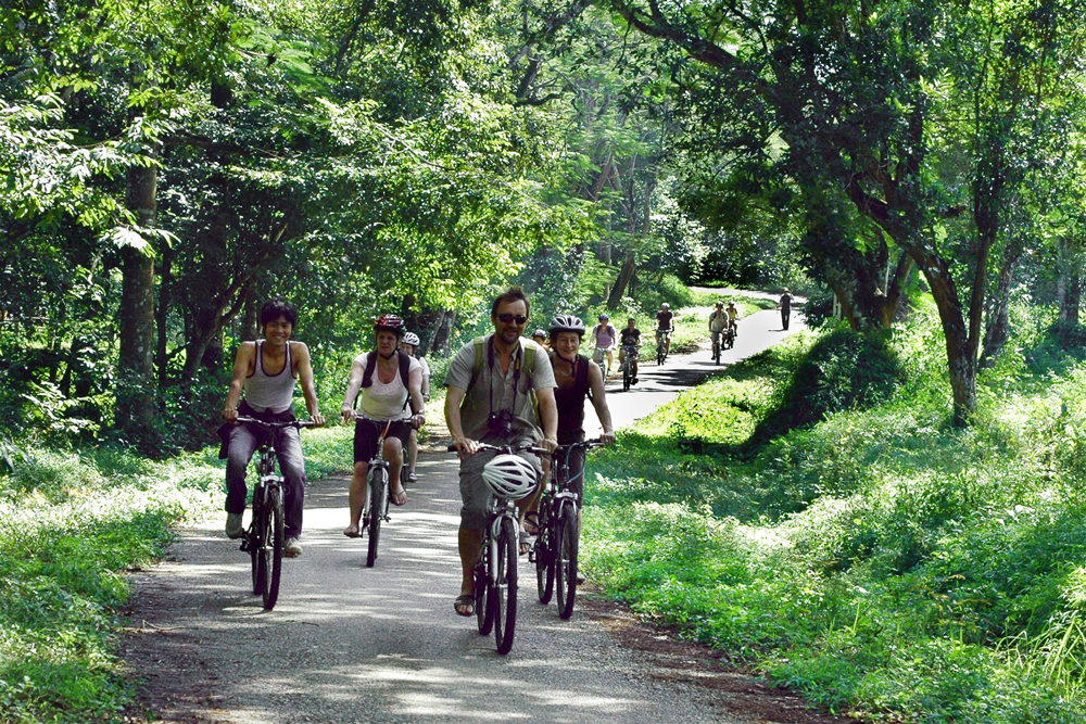 Ninh Binh, Trang An, vélo, visiter Ninh Binh à vélo, balader à vélo, vietnam, parc national de Cuc Phuong