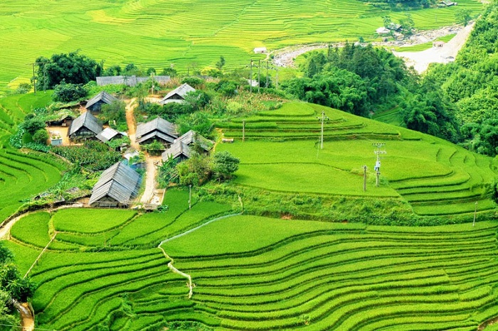 rizière au village de Ta Van, Sapa, ou aller pour voir les plus belles rizières en terrasse