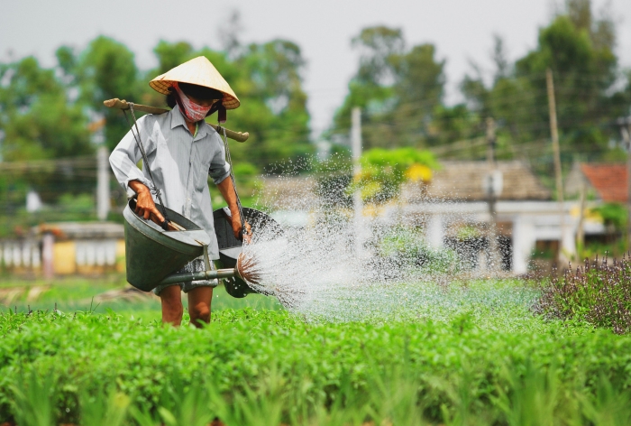 Hoian : une des plus belles villes d’Asie et du monde