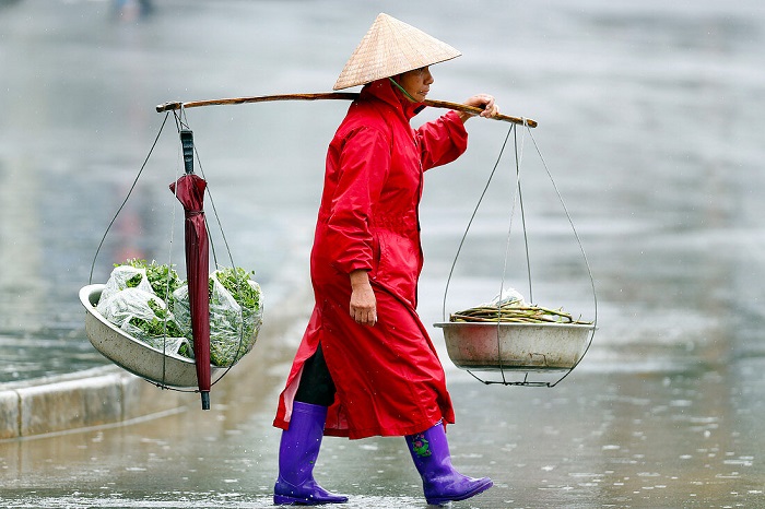 Visite Vietnam saison pluie nord