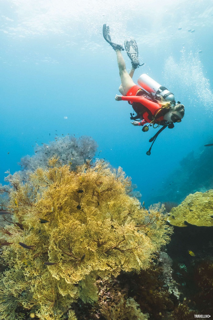 voyage aventure Vietnam plongee sous marin