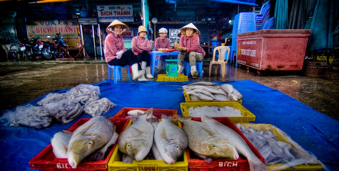 Un marché aux poisson. Source : mondeasie.com