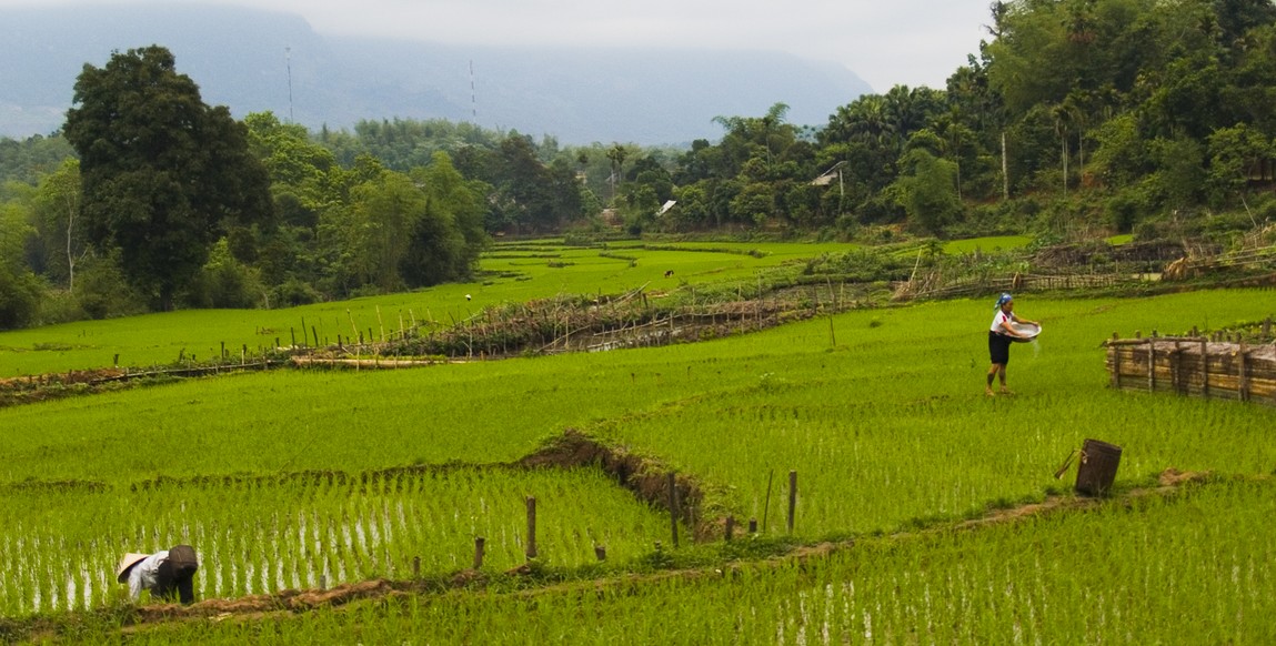 Mai Chau. Source : mondeasie.com