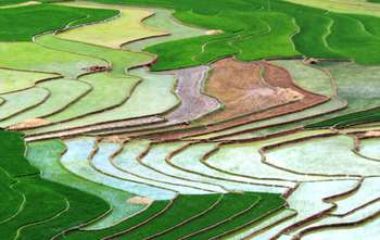 Nghia Lo – Mu Cang Chai – journée des rizières en terrasse magnifique