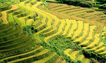 Nghia Lo – Mu Cang Chai – Journée dans les magnifiques rizières en terrasse