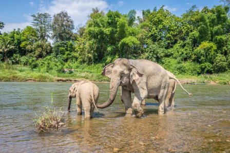 Luang Prabang – Train à grande vitesse vers Vang Vieng 