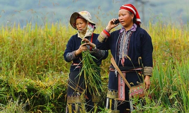 Sur les sentiers des Daos Rouges et des Hmong Noirs