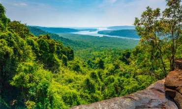 Cambodge : Flores et Faune 