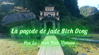 Agence de voyage francophone au Vietnam, Voyage au Vietnam