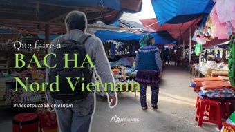 Agence de voyage francophone au Vietnam, Voyage au Vietnam