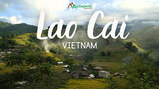 Agence de voyage francophone au Vietnam, Voyage au Vietnam