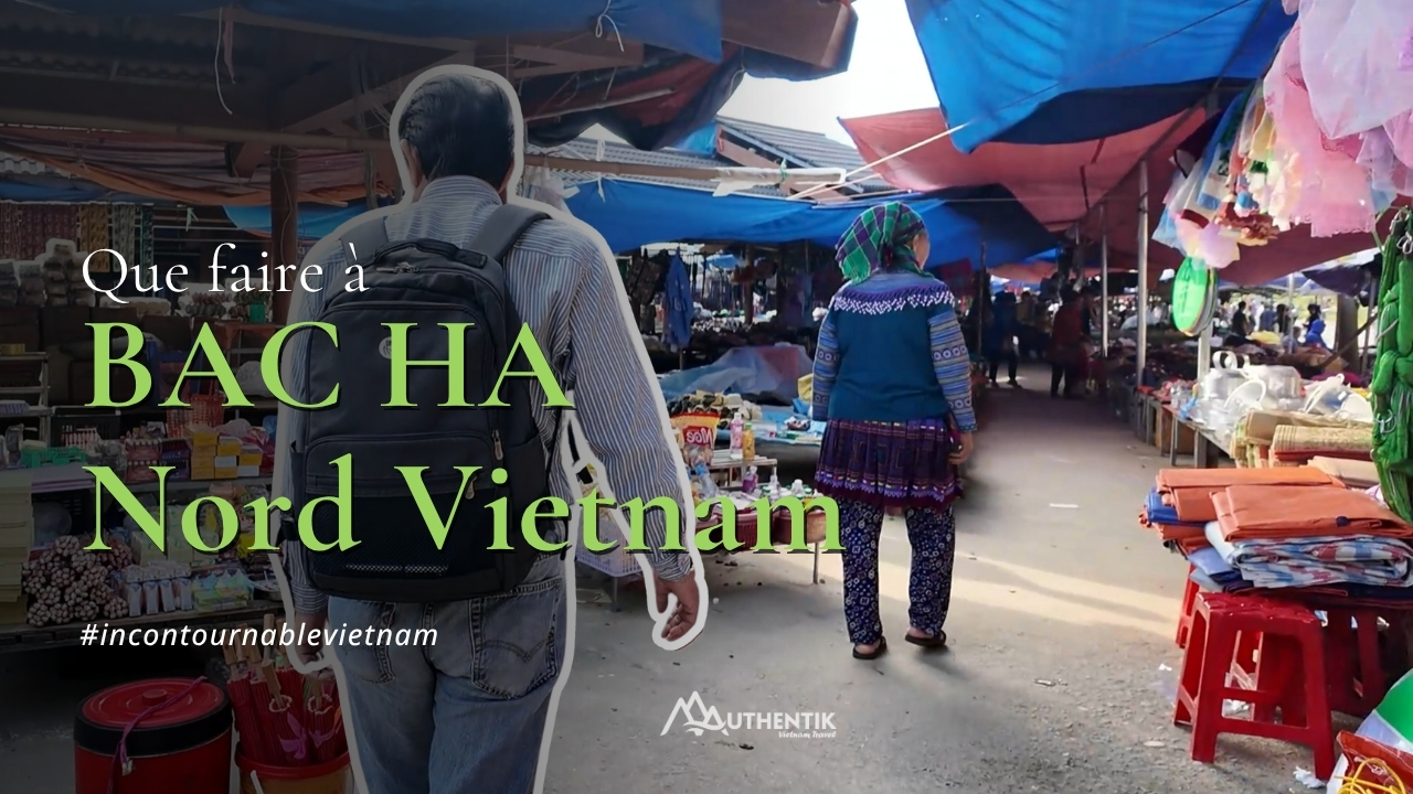 Agence de voyage francophone au Vietnam, Voyage au Vietnam