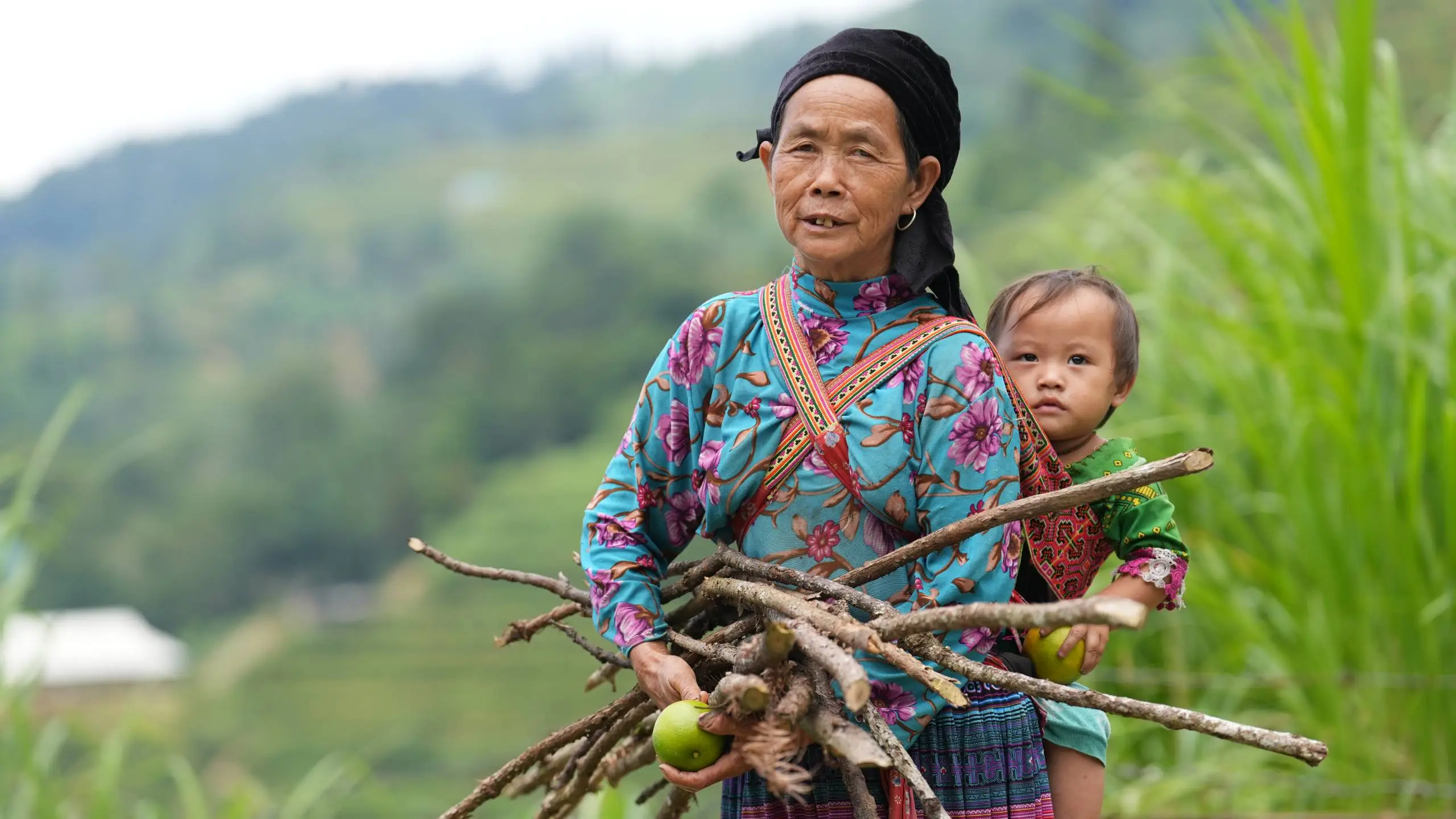 Agence de voyage francophone au Vietnam, Voyage au Vietnam