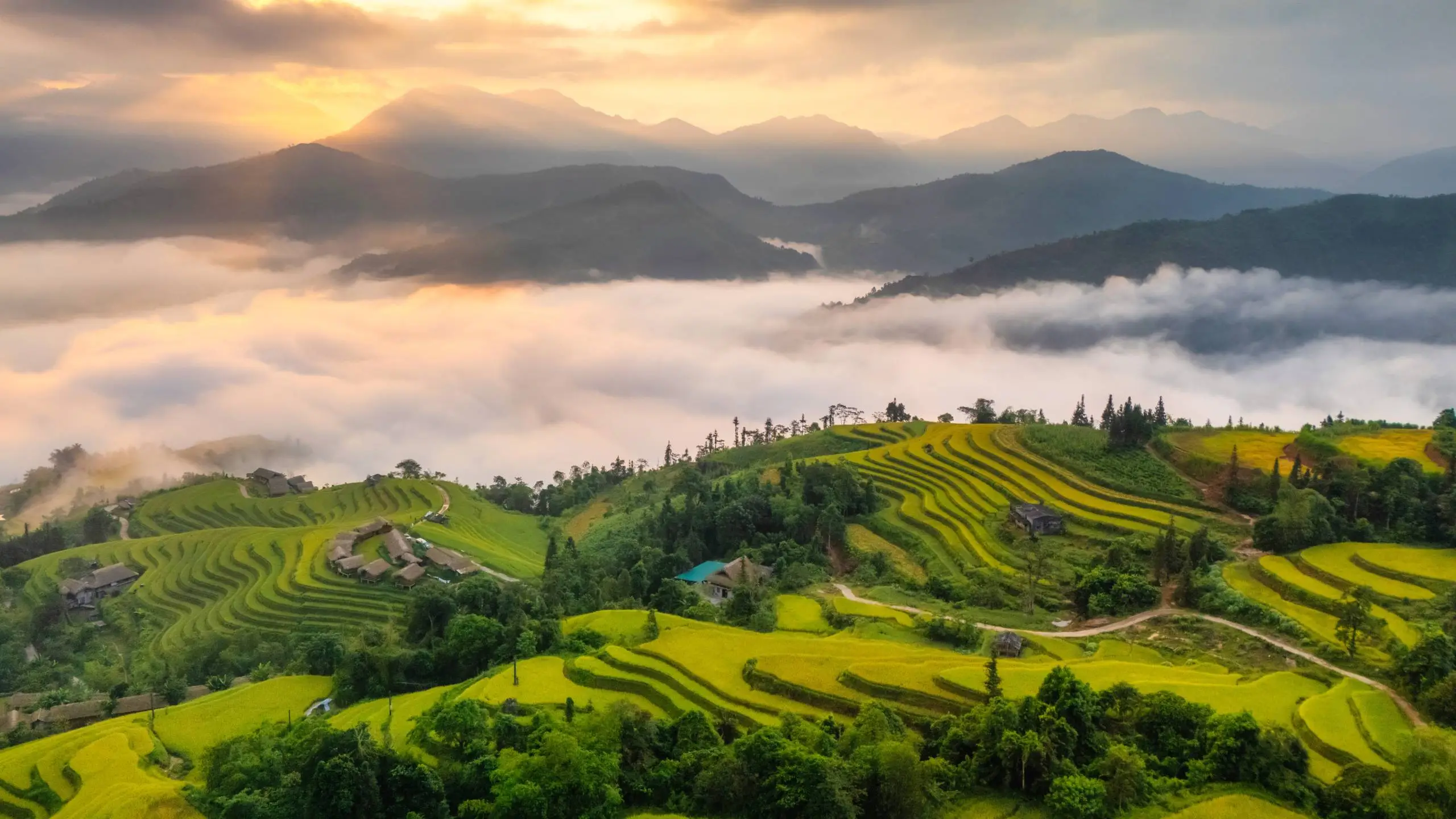 Agence de voyage francophone au Vietnam, Voyage au Vietnam