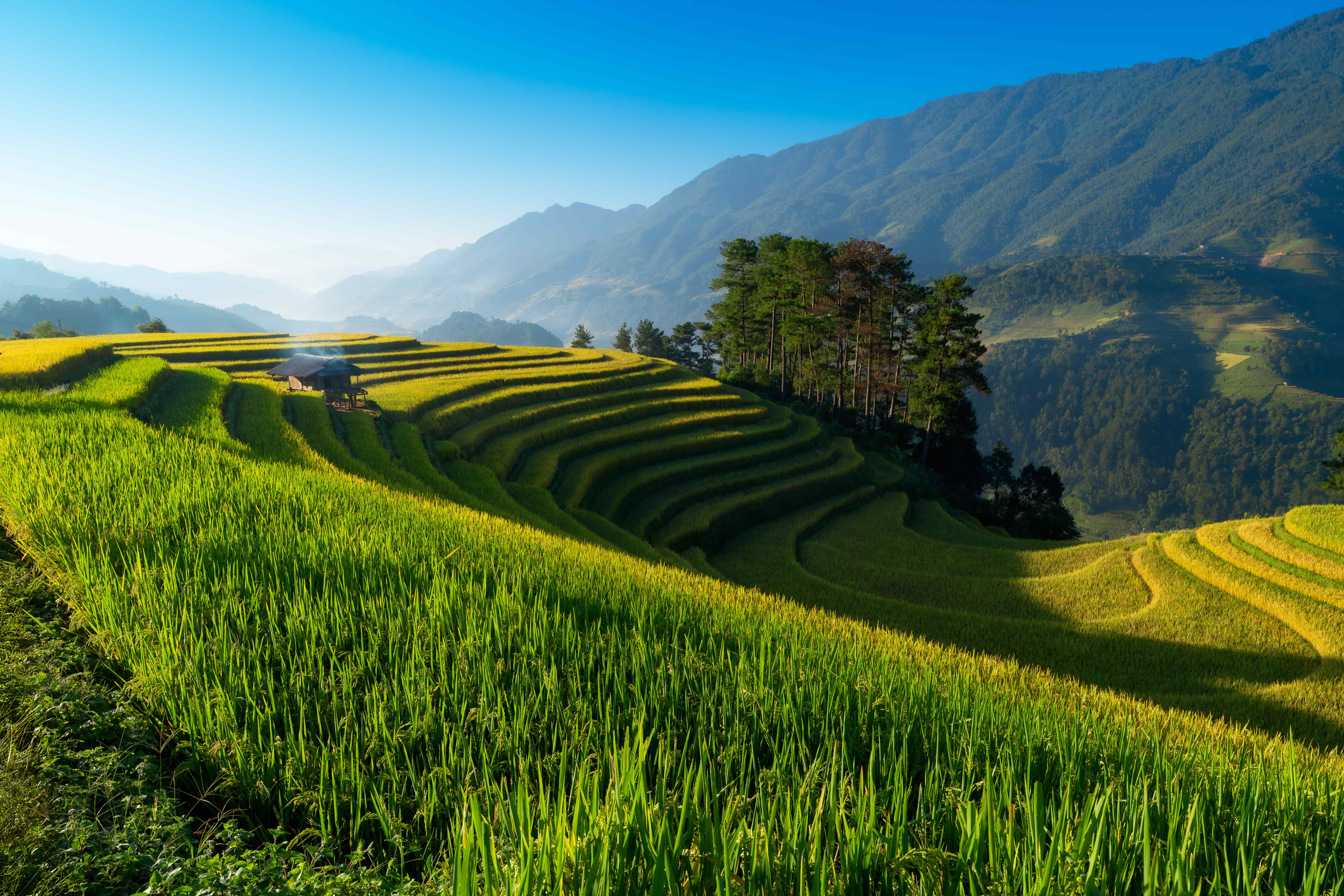 Agence de voyage francophone au Vietnam, Voyage au Vietnam