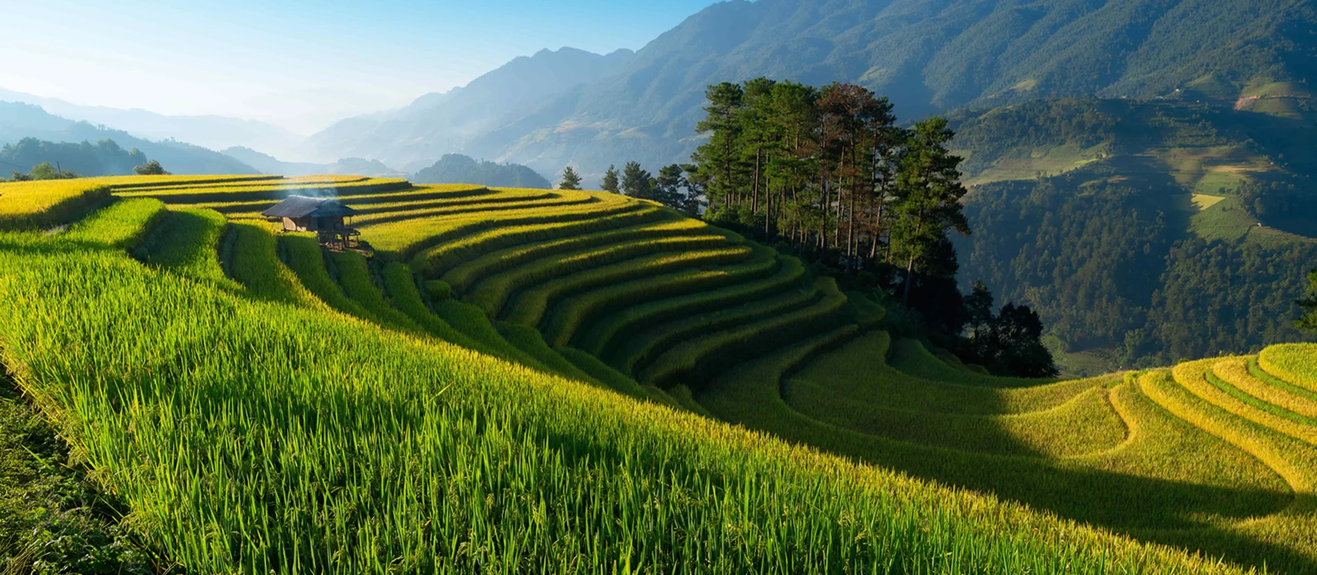 Agence de voyage francophone au Vietnam, Voyage au Vietnam