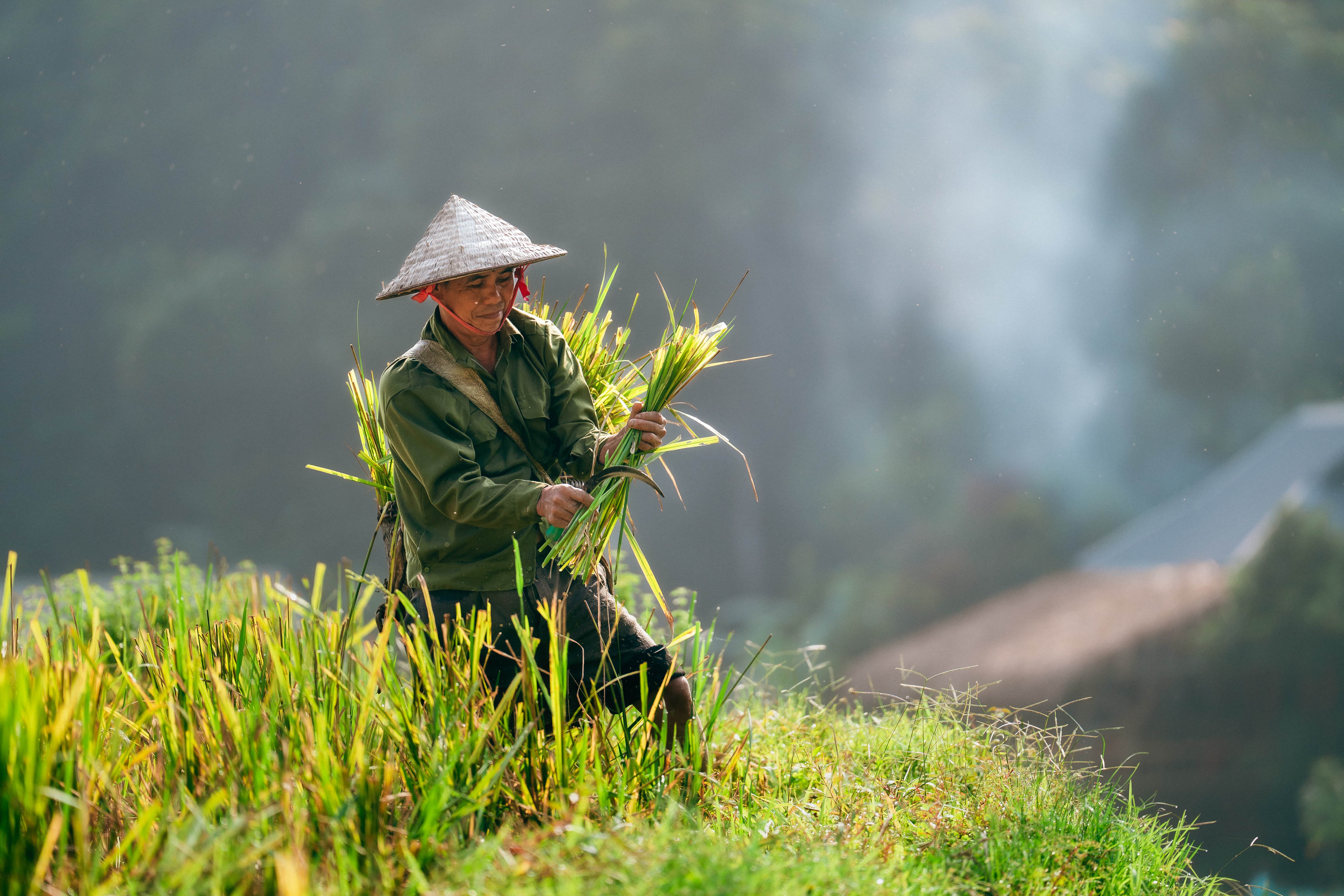 Agence de voyage francophone au Vietnam, Voyage au Vietnam