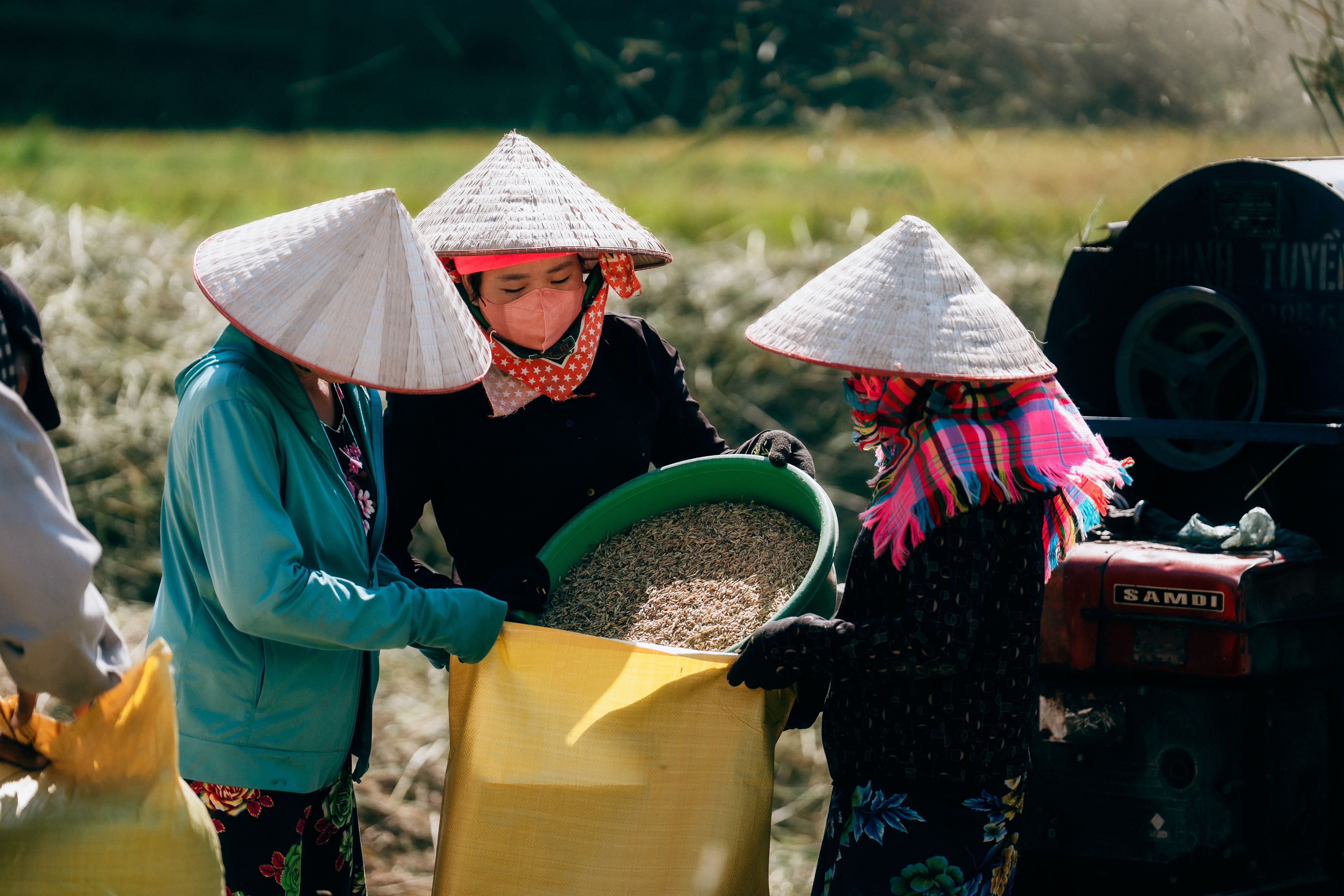 Agence de voyage francophone au Vietnam, Voyage au Vietnam