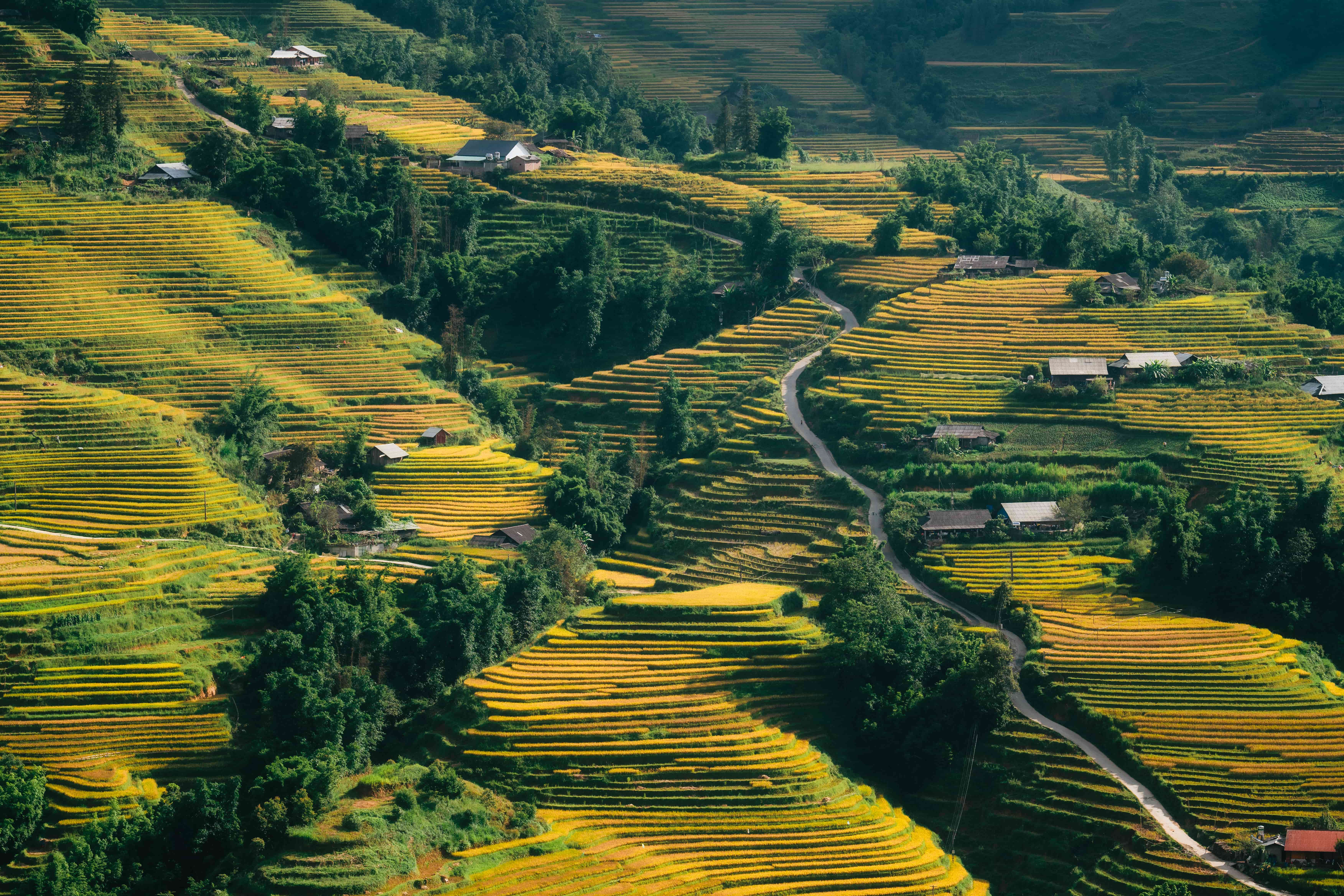 Agence de voyage francophone au Vietnam, Voyage au Vietnam